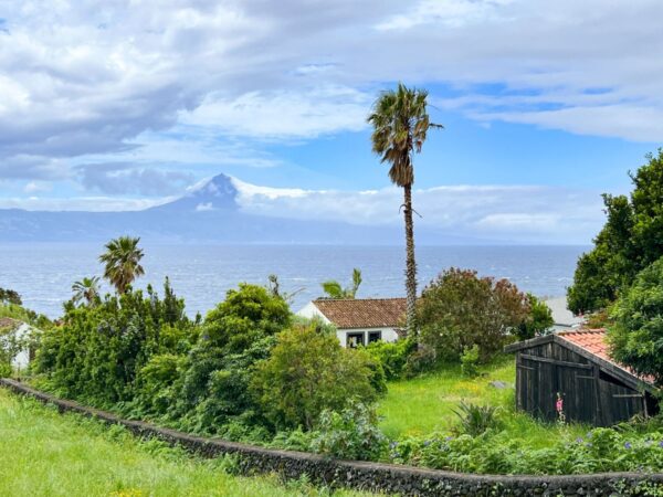 Palmen, Meer und Vulkanblick auf den Azoren bei São Jorge