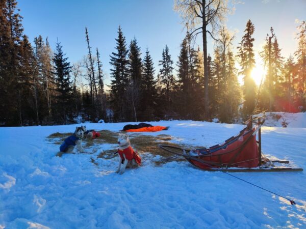 Wildniscamp am Morgen