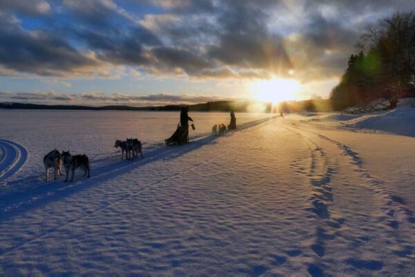 ein schwedisches Wintermärchen