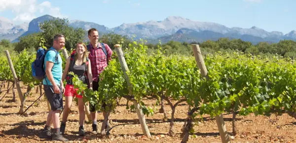 Ländliches Mallorca - Andreas Stirnberg - Erlebnisrundreisen.de