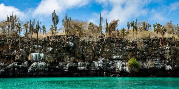 Adventure-Trip-Abenteuer-auf-den-Galapagos-Inseln-Schnorcheln-Seeloewen