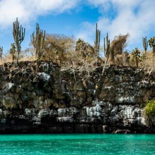 Günstige Ecuador Gruppenreisen für 18 - 39 jaehrige 2026/2027 | Erlebnisrundreisen.de