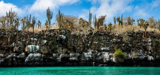 Günstige Ecuador Gruppenreisen für 18 - 39 jaehrige 2026/2027 | Erlebnisrundreisen.de