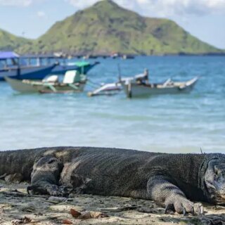 Günstige Indonesien Gruppenreisen für 18 - 39 jaehrige 2026/2027 | Erlebnisrundreisen.de