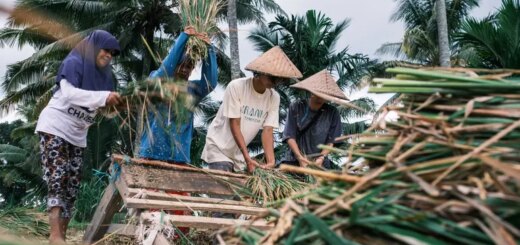 Günstige Indonesien Gruppenreisen für 18 - 39 jaehrige 2026/2027 | Erlebnisrundreisen.de
