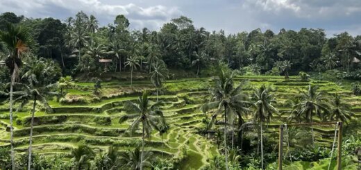 Günstige Indonesien Gruppenreisen für 18 - 39 jaehrige 2026/2027 | Erlebnisrundreisen.de