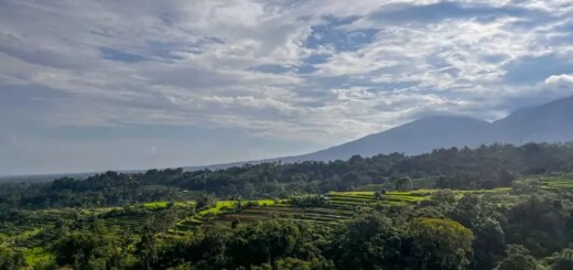 Günstige Indonesien Gruppenreisen für 18 - 39 jaehrige 2026/2027 | Erlebnisrundreisen.de