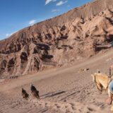 Günstige Argentinien Gruppenreisen für 18 - 39 jaehrige 2026/2027 | Erlebnisrundreisen.de