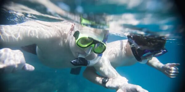 Adventure-Trip-Ecuador-to-Galapagos-Jungle-Beats-Island-Heat