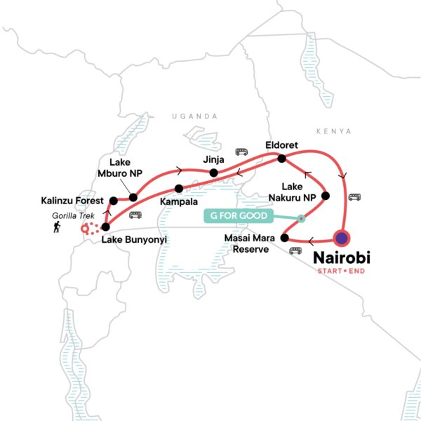 Adventure-Trip-Gorilla-Abenteuer-in-Kenia-und-Uganda-Waelder-Wildtiere-1
