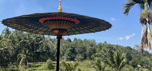 Günstige Indonesien Gruppenreisen für 18 - 39 jaehrige 2026/2027 | Erlebnisrundreisen.de