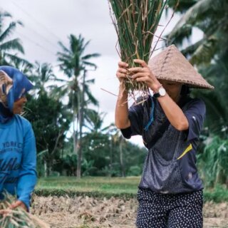 Günstige Indonesien Gruppenreisen für 18 - 39 jaehrige 2026/2027 | Erlebnisrundreisen.de