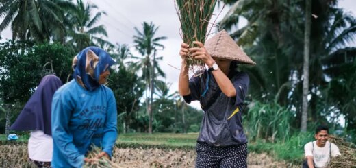 Günstige Indonesien Gruppenreisen für 18 - 39 jaehrige 2026/2027 | Erlebnisrundreisen.de