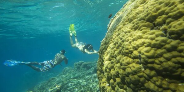 Adventure-Trip-Lombok-to-Flores-The-Hidden-Path