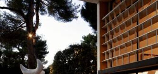 5 Tage Cote d'Azur: Besuchen Sie das Zirkusfestival in Monte Carlo und lernen Sie mit Ihrer Studiosus-Reiseleiterin Nizza