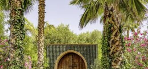 7 Tage Silvesterreise nach Marrakesch: Ihre Studiosus-Reiseleiterin zeigt Ihnen die Stadt und feiert mit Ihnen orientalisch hinüber ins neue Jahr.