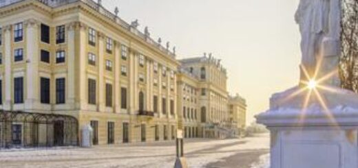 Weihnachten oder Silvester in Wien: Silvester mit Beethovens "Neunter" und Dinner im Restaurant EssDur. Besichtigungen mit Studiosus-Reiseleiter.
