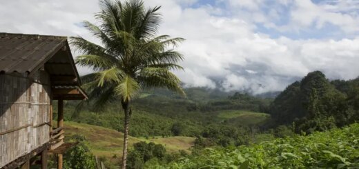 8-Tage-Adventure-Trip Journeys: Best of Northern Thailand | Erlebnisrundreisen.de