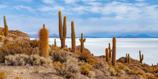 29-Tage-Adventure-Trip Journeys: Highlights of South America