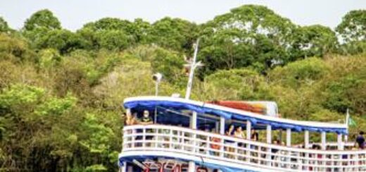 Zweiwöchige Abenteuerreise zu den Höhepunkten Brasiliens: von Salvadors Traumstränden zur Christusstatue in Rio de Janeiro bis hin zum Dschungelabenteuer am Amazonas Young Traveller 2026