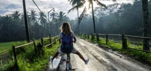 Neu: Je nach Wahl in 16 oder 19 Tagen Indonesien hautnah erleben – mit oder ohne Abstecher zu den Orang Utans auf Sumatra