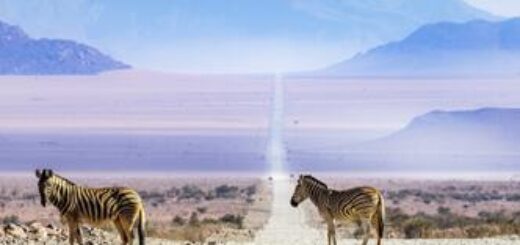 Gute zwei Wochen Afrika für abenteuerlustige Traveller zwischen 20 und 35 Young Traveller 2026