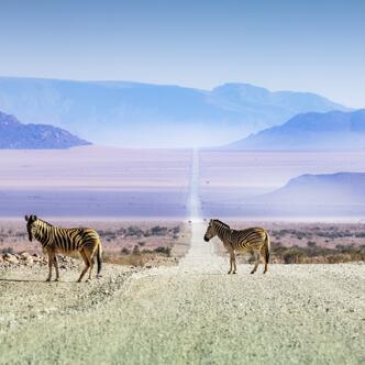Namibia Rundreisen junge Leute 2026