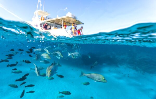 Schwimmen und Schnorcheln in der Coral Bay