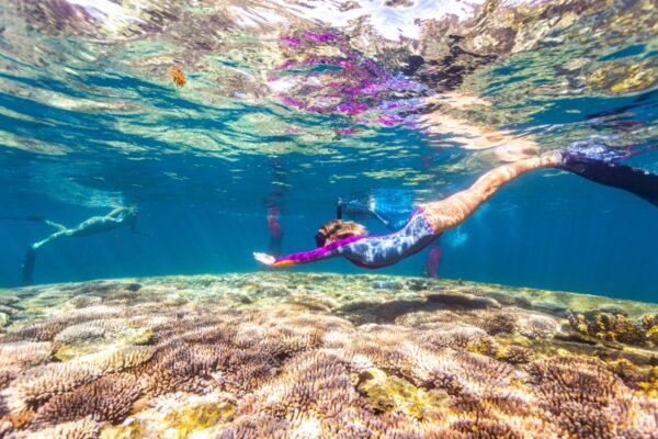 Schwimmen und Schnorcheln in der Coral Bay
