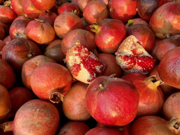 Herbst ist Granatapfelzeit