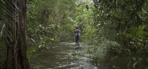 Ecuador Gruppenreise | Tinta Tours Erlebnisreisen