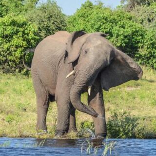 Botswana Gruppenreise | Tinta Tours Erlebnisreisen