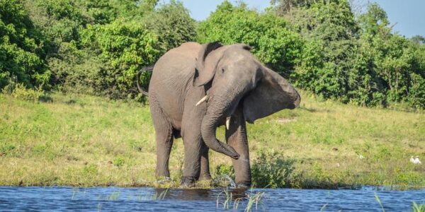 Botswana Erlebnisreise | Tinta Tours Erlebnisreisen