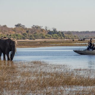 Botswana Gruppenreise | Tinta Tours Erlebnisreisen