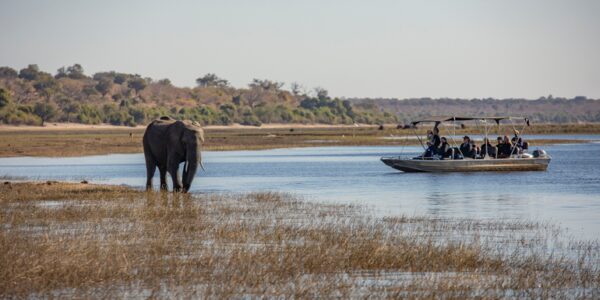 Botswana Erlebnisreise | Tinta Tours Erlebnisreisen