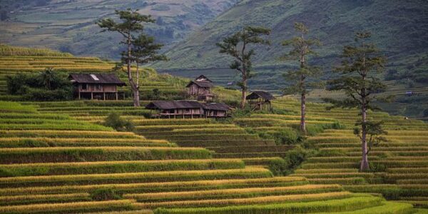 Vietnam Erlebnisreise | Tinta Tours Erlebnisreisen