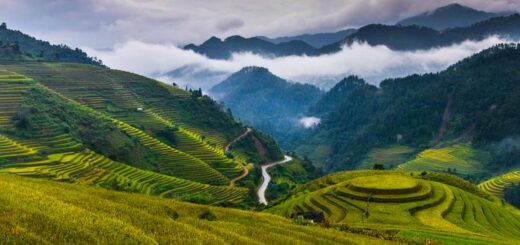 Vietnam Gruppenreise | Tinta Tours Erlebnisreisen