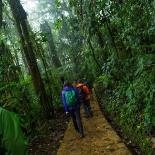 Costa Rica Gruppenreise | Tinta Tours Erlebnisreisen