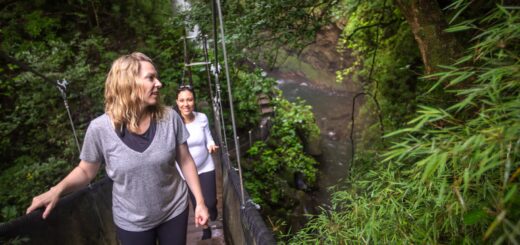 Costa Rica Gruppenreise | Tinta Tours Erlebnisreisen