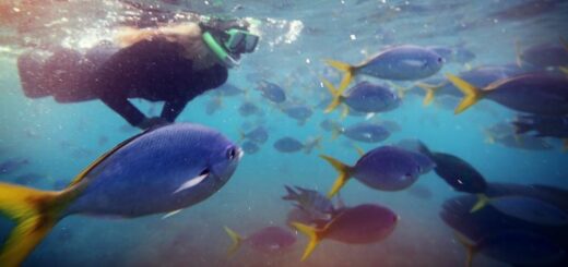 Australien Gruppenreise | Tinta Tours Erlebnisreisen