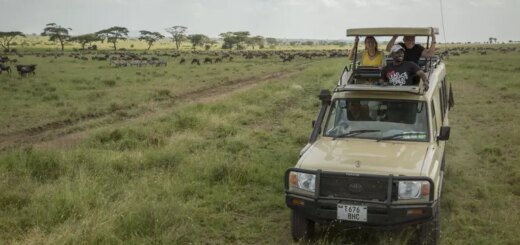 Tansania Gruppenreise | Tinta Tours Erlebnisreisen