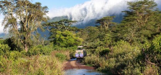 Uganda Gruppenreise | Tinta Tours Erlebnisreisen