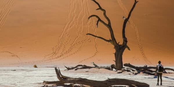 Botswana Erlebnisreise | Tinta Tours Erlebnisreisen