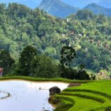 Indonesien Gruppenreise | Tinta Tours Erlebnisreisen