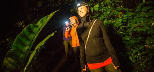 Costa Rica Gruppenreise | Tinta Tours Erlebnisreisen