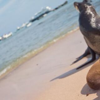 Ecuador Gruppenreise | Tinta Tours Erlebnisreisen