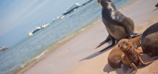 Ecuador Gruppenreise | Tinta Tours Erlebnisreisen