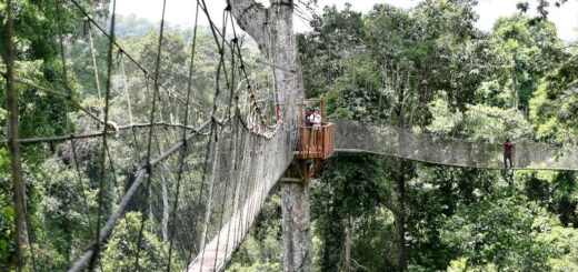 Ghana Gruppenreise | Tinta Tours Erlebnisreisen