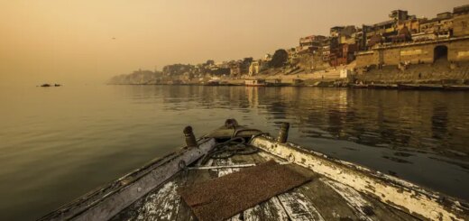 Indien Gruppenreise | Tinta Tours Erlebnisreisen