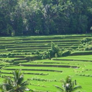 Indonesien Gruppenreise | Tinta Tours Erlebnisreisen